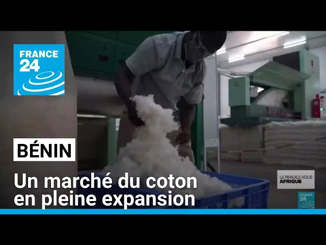 ⁣Au Bénin, les investisseurs attirés par un marché du coton en pleine expansion • FRANCE 24