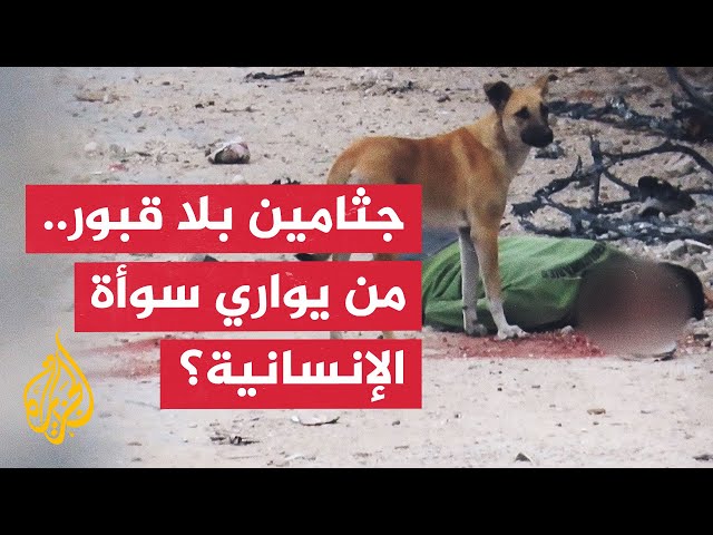 ⁣جثامين بلا قبور تنهشها الكلاب.. شمال غزة مأساة إنسانية لا تنتهي