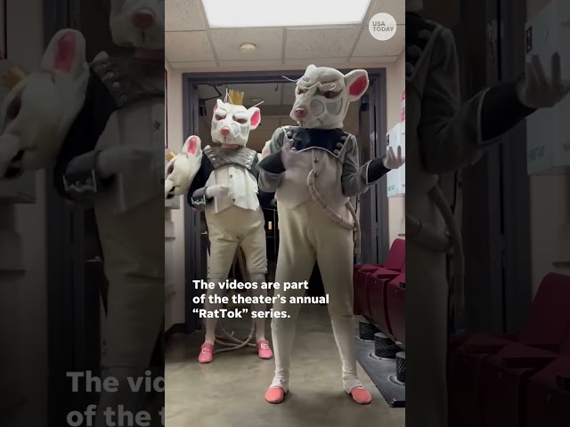 ⁣Nutcracker rats ditch ballet for TikTok moves #Shorts