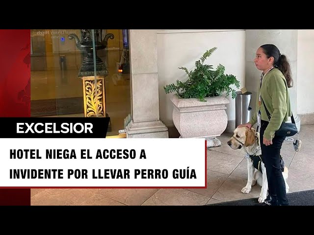 ⁣'No se aceptan mascotas', hotel de NL le niega el acceso a mujer invidente por llevar perr