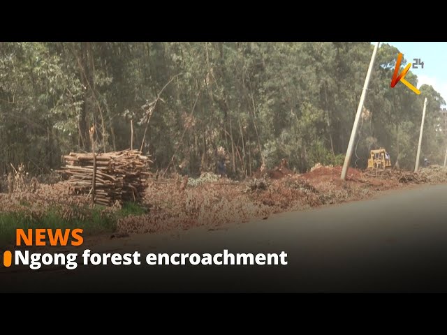 ⁣KFS allocates Ksh 162m to fence off forest land following reports of illegal encroachments