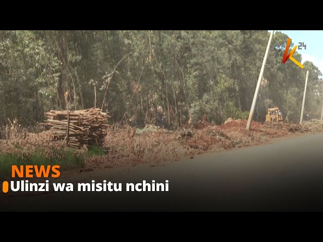 KFS kujenga ua kwenye misitu inayokabiliwa na hatari ya kunyakuliwa