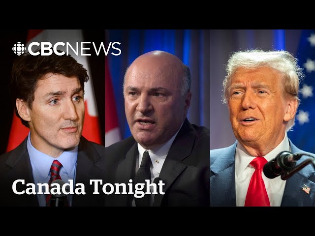 ⁣Kevin O'Leary says Canada’s economy in ‘free-fall,’ Trudeau should go | Canada Tonight