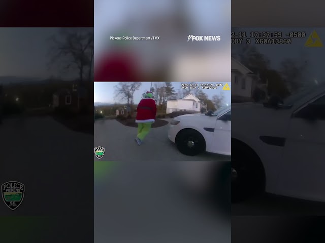 ⁣The Grinch 'arrested' in parody video released by police