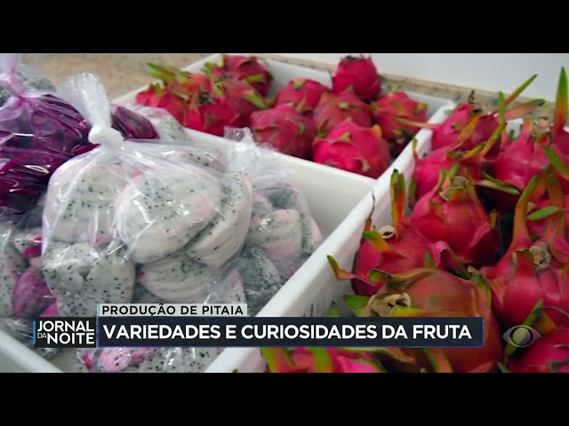 ⁣Pitaya é uma espécie de cacto que se adapta bem ao clima seco