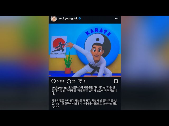 ⁣"'가라테'를 '태권도'로…넷플릭스 애니 번역 잘못" / 연합뉴스TV (YonhapnewsTV)