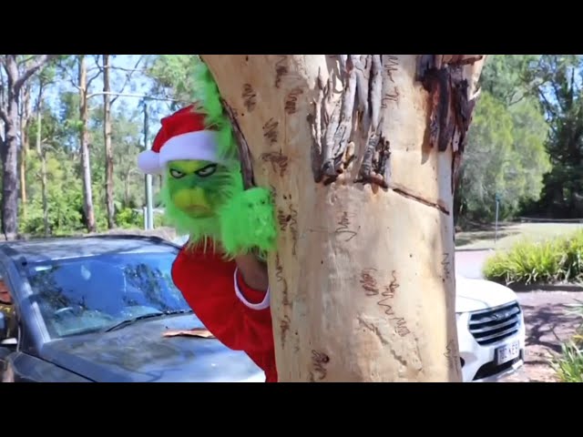 ⁣The Grinch causes chaos at the Australian Reptile Park