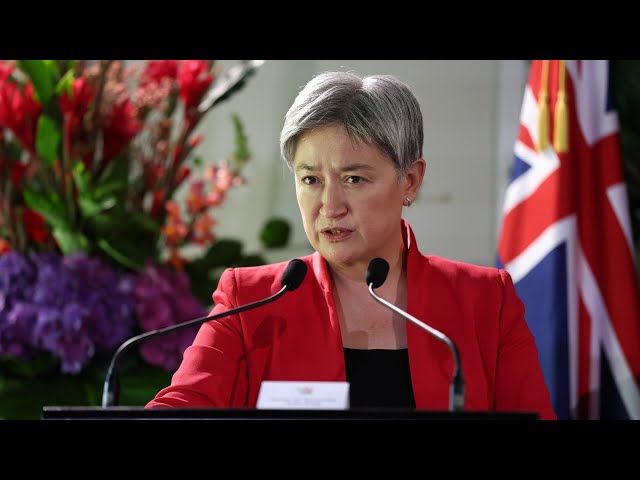 ⁣‘Really disappointing’: Penny Wong needs to be ‘stronger’ in defending Israel