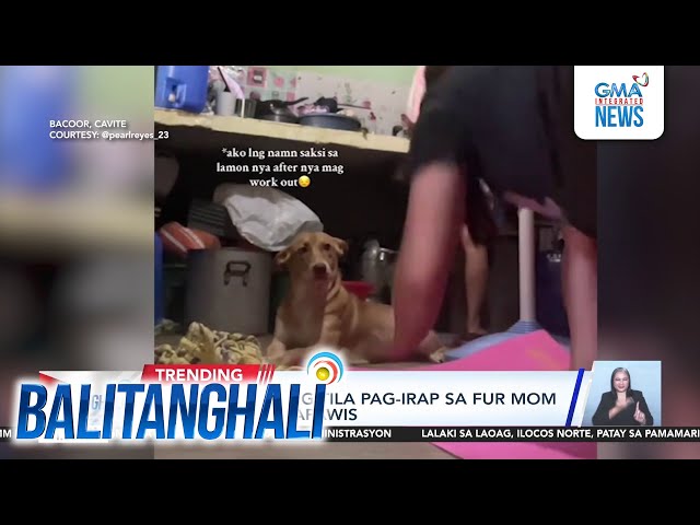 ⁣Aso, kuwela ang tila pag-irap sa fur mom niyang nagpapawis | Balitanghali