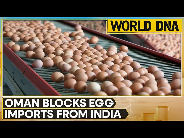 ⁣Oman Blocks Indian Egg Imports, Poultry Industry In Tamil Nadu Hit Hard | WION World DNA