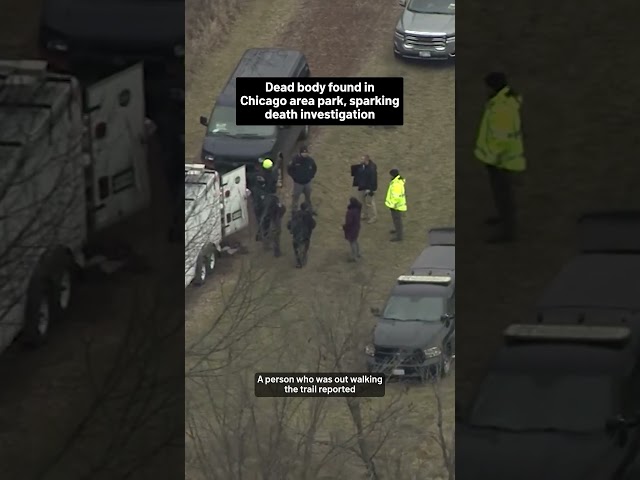 ⁣Dead body found in Chicago area park, sparking death investigation