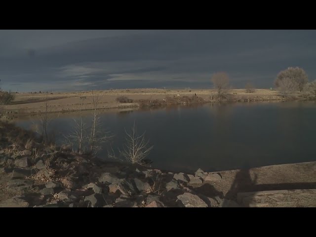 ⁣Caught on camera: Good Samaritan rescues dog from icy pond at Chatfield Dog Park