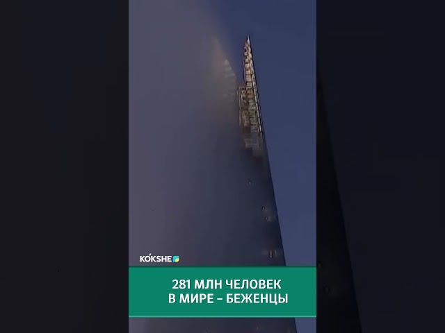 ⁣281 млн человек в мире – беженцы #world