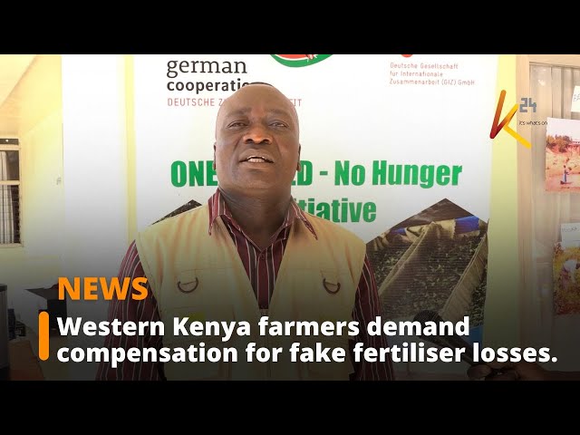 ⁣Western Kenya farmers demand compensation for fake fertiliser losses.