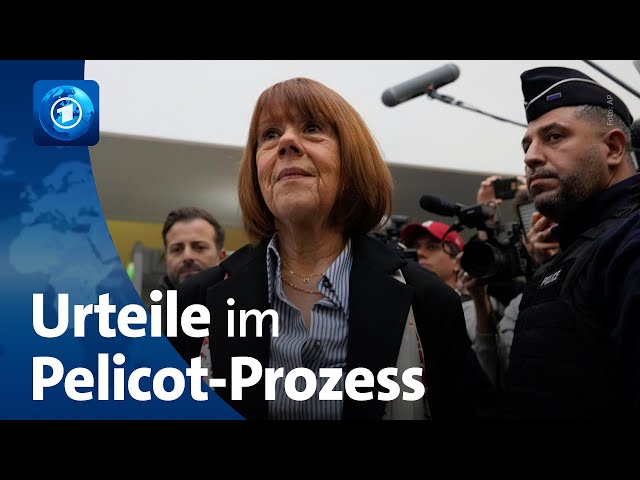 ⁣Frankreich: Ex-Mann von Pelicot zu 20 Jahren Haft verurteilt