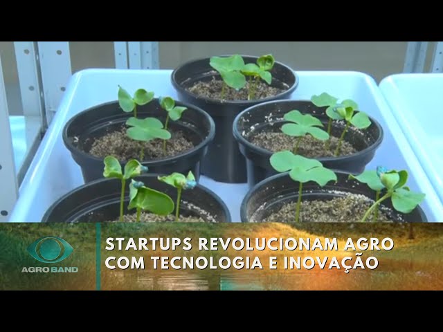 ⁣Startups trazem soluções e revolucionam o agronegócio | Agro Band