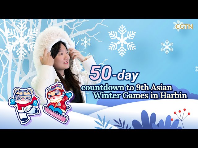 ⁣50-day countdown to 9th Asian Winter Games: Key insights you can't miss about Harbin!