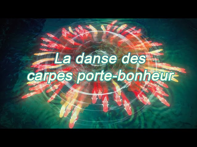 ⁣Retour sur le Grand Gala de la Fête du Printemps 2024 : "La danse des carpes porte-bonheur"