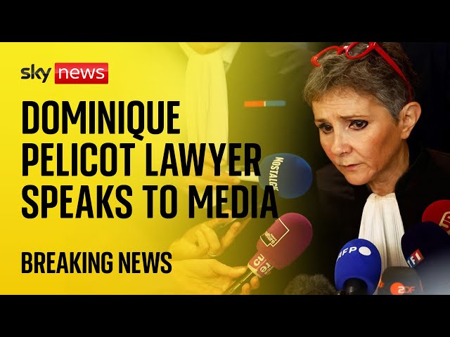 ⁣'Mr Pelicot has noted this decision': Dominique Pelicot's lawyer speaks to media