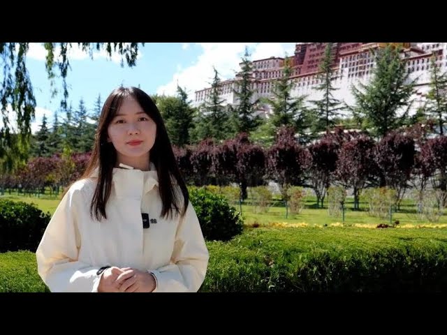 ⁣GLOBALink | How technologies protect Potala Palace's timeless beauty