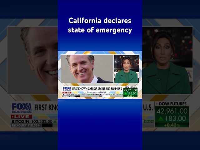 ⁣California Gov. Newsom declares state of emergency over severe bird flu cases #shorts