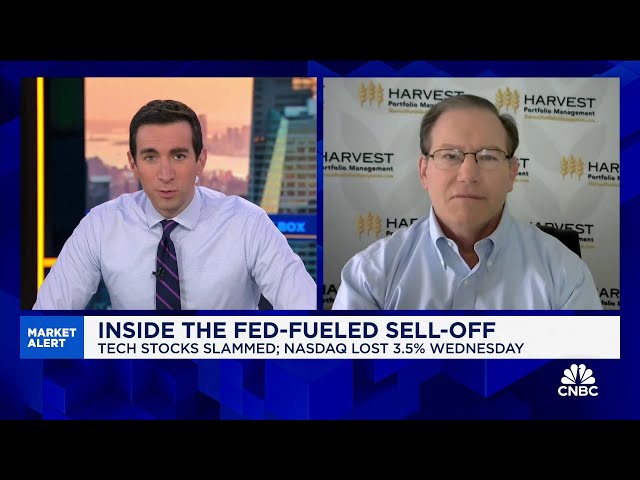 ⁣I would buy any significant dip on Nvidia, says Harvest Portfolio's Paul Meeks