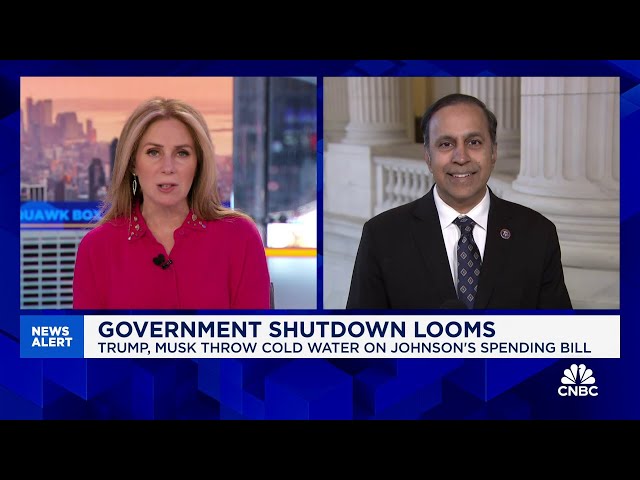 ⁣Rep. Krishnamoorthi: Trump can engineer 'deal of the year' by encouraging ByteDance to sel