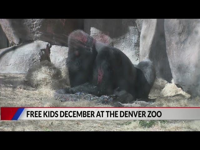 ⁣Denver Zoo offering free admission to kids