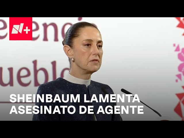 ⁣Sheinbaum reacciona al asesinato de un agente de la SSPC en Sinaloa - Despierta