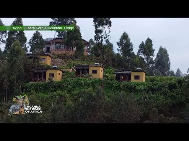 ⁣Kaara Gorilla Mountain Lodge Bwindi - Uganda The Pearl