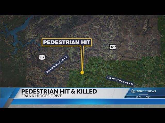 ⁣TN man struck and killed on US 321 in Watauga County