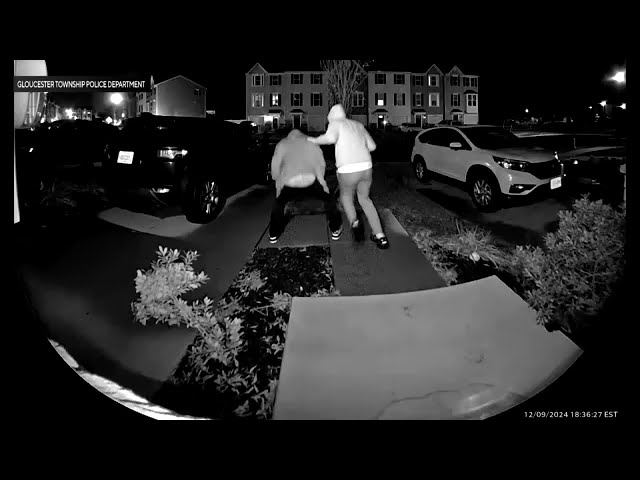 ⁣"Twerking" porch pirates caught on doorbell camera