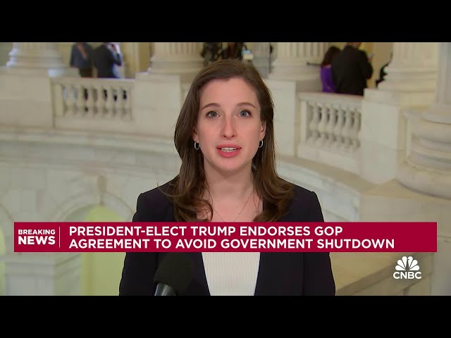 ⁣President-elect Trump endorses GOP agreement to avoid government shutdown