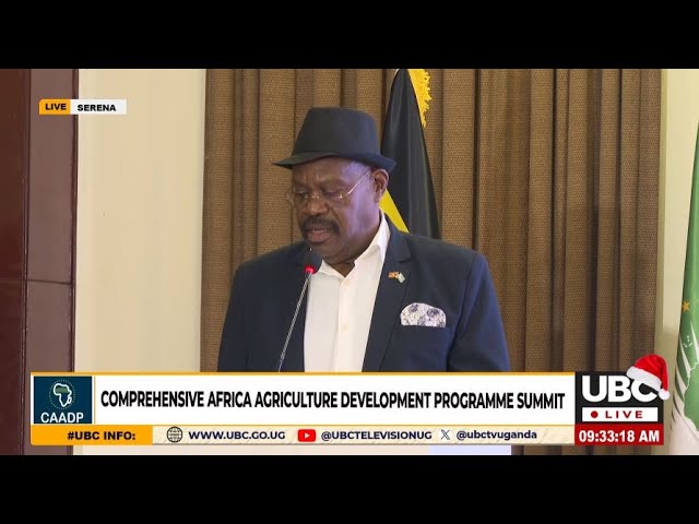 ⁣LIVE: COMPREHENSIVE AFRICA AGRICULTURE DEVELOPMENT PROGRAMME SUMMIT | DECEMBER 19, 2024