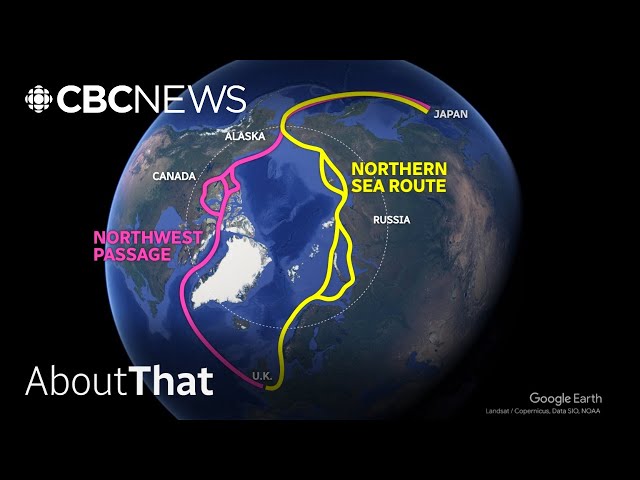 ⁣Why North America is preparing for an Arctic battle | About That