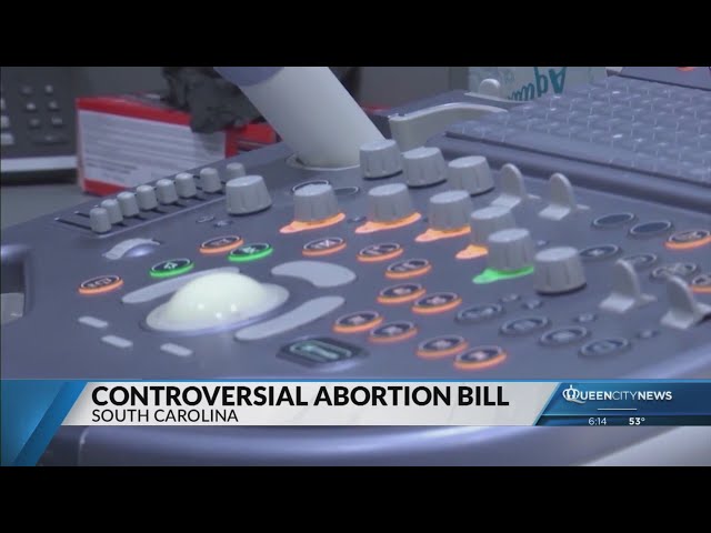 ⁣SC bill to be reintroduced proposing death penalty for abortions