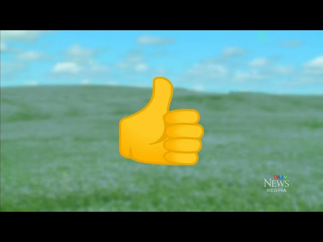 ⁣Saskatchewan's Court of Appeal dismisses "thumbs up" emoji case