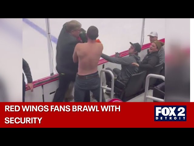 ⁣Shirtless Red Wings fan tossed from game after brawl with security