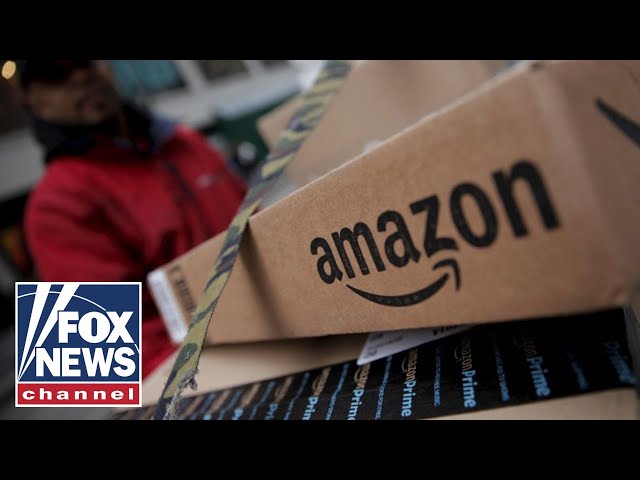 ⁣‘WE’RE HERE TO SEND A MESSAGE’: Amazon workers strike as holidays approach