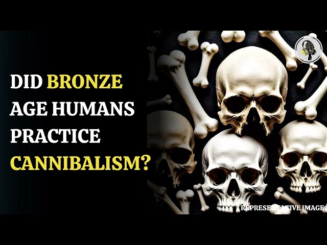 ⁣Bronze Age Massacre: Ritual Cannibalism Uncovered in Somerset | WION Podcast