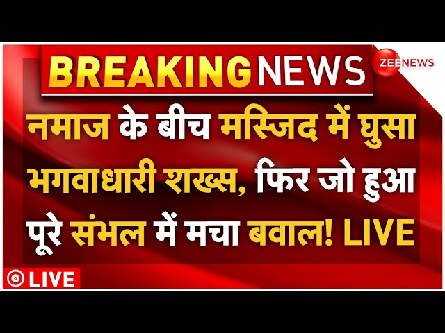 ⁣Force Big Action In Sambhal Jama Masjid LIVE: नमाज के बीच मस्जिद में घुसा शख्स, फिर जो हुआ मचा बवाल!