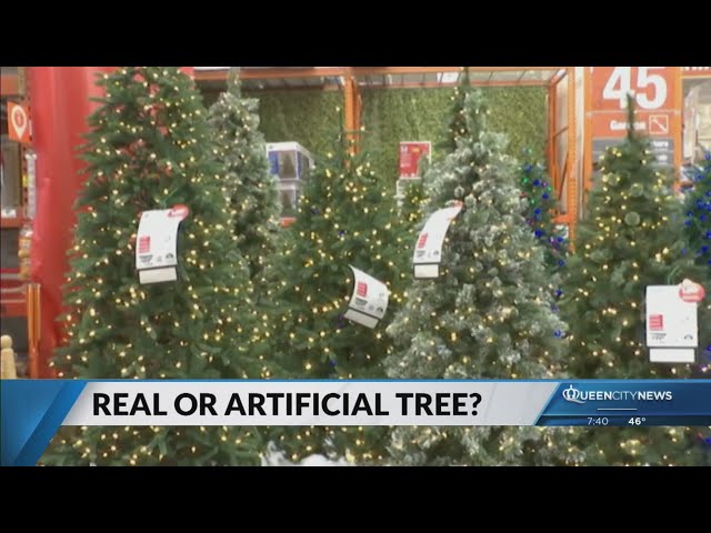 ⁣Real or fake? Let the Christmas tree debate begin