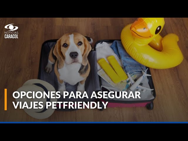 ⁣¿En qué consisten los seguros de viaje para animales de compañía?