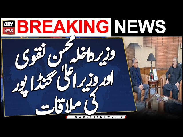 ⁣Interior Minister Mohsin Naqvi Meets Chief Minister KP Ali Amin Gandapur