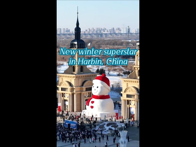 ⁣New winter superstar in Harbin, China