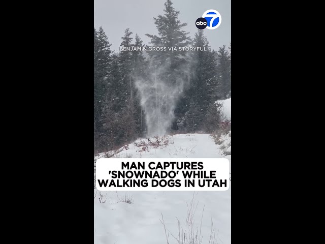 ⁣Man captures ‘snownado’ while walking dogs in Utah