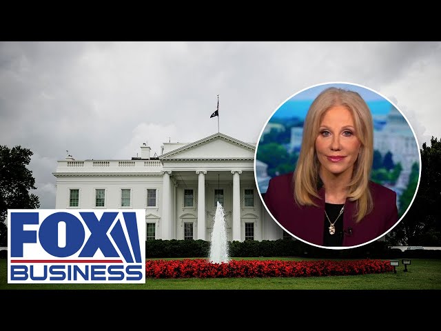 ⁣Kellyanne Conway reacts to bombshell report on White House coverup