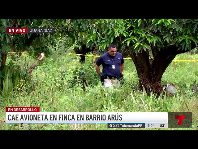 ⁣Se estrella avioneta en una finca de mangó en Juana Díaz