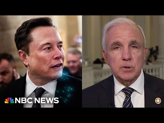 ⁣Elon Musk needs a ‘compelling argument in order to sway me,’ on latest funding bill: GOP lawmaker