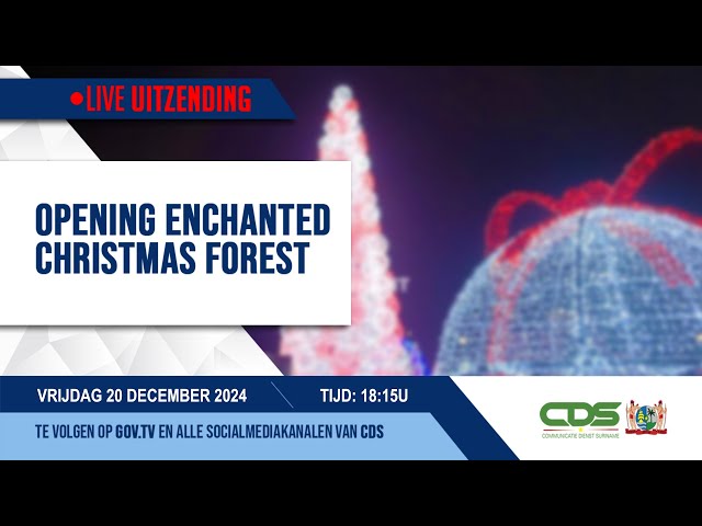 ⁣OPENING ENCHANTED CHRISTMAS FOREST 20-12-2024